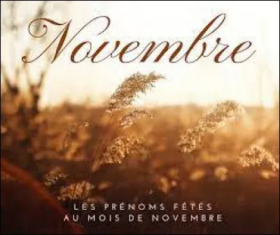 Comment se dit novembre en allemand ?