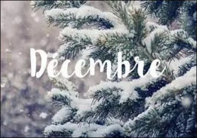 Comment se dit décembre en allemand ?