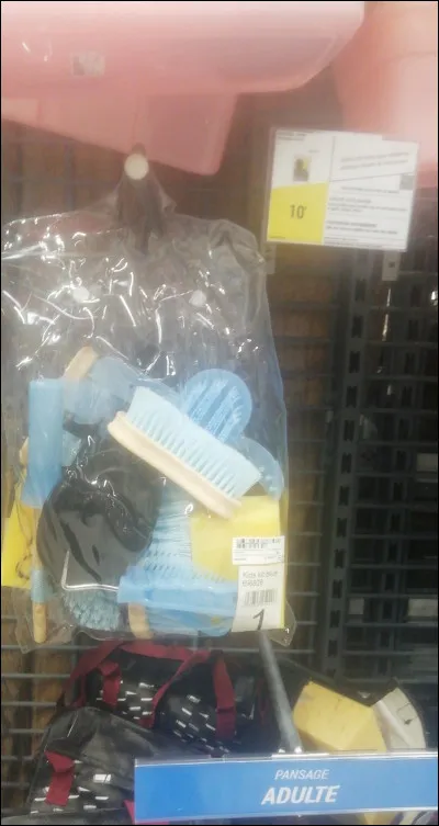 Avec quoi faisons-nous briller le poil du cheval ?