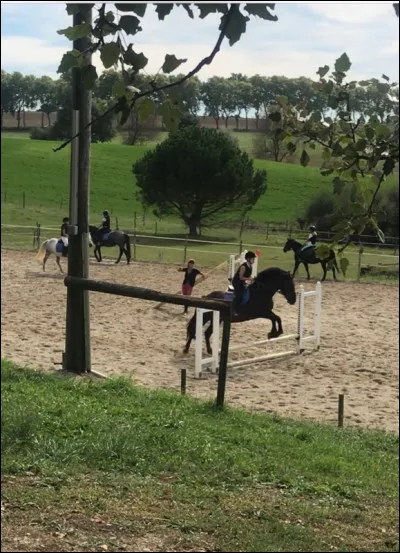 Quelle est la discipline qui n'existe pas ?