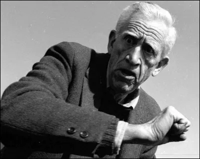 Qui est cet écrivain américain, auteur de la nouvelle ''Un jour rêvé pour le poisson-banane'' ?