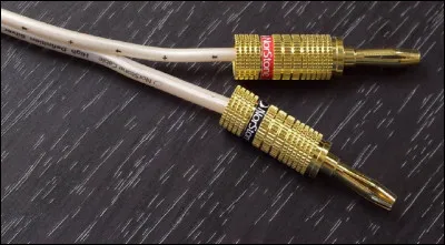 Quel est le nom de ces objets de connexion électrique rapide ?