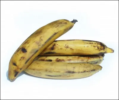 Quel est le nom de cette espèce de banane ?