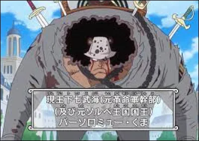 Quelle est sa taille ?