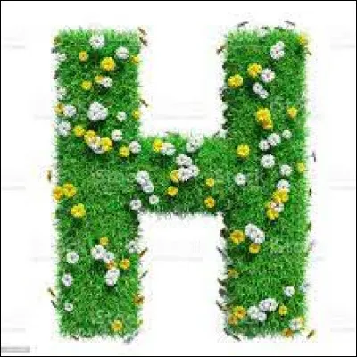 Attention à la liaison !