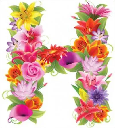 Il faut mieux équiper votre cheval...