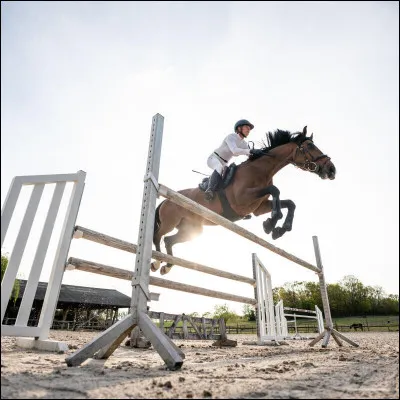 En saut, les étriers doivent se trouver...