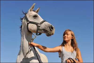 Qu'est-ce que l'équitation ?