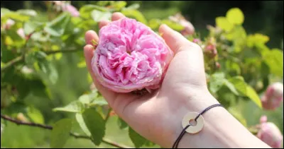 On est bien peu de chose, mais peut-&ecirc;tre allez-vous me le dire ce matin !