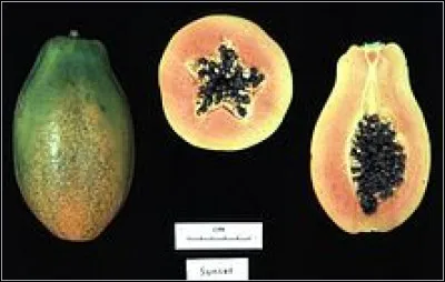 Comment se surnomme ce fruit ?