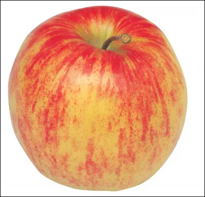 Quelle est cette variété de pomme, jaune, rouge et verte, très populaire en Europe, fruit ferme, juteux, sucré et légèrement acidulé ?