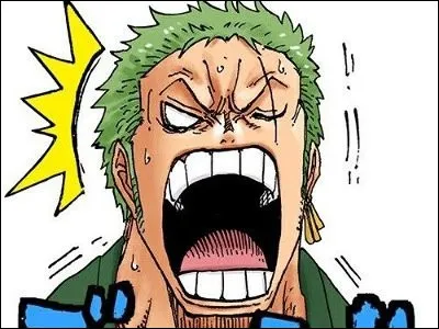 Et, pour finir, Zoro devait être...