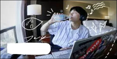 Comment s'appelle leur émission de vlogs ?