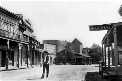 Quel cinéaste a réalisé "Le train sifflera trois fois" (1952) avec Gary Cooper et Grace Kelly ?