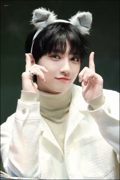 Qui sont les visuels ?