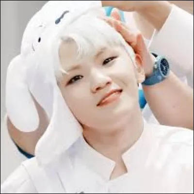 Qui est le leader de l'unité vocale ?