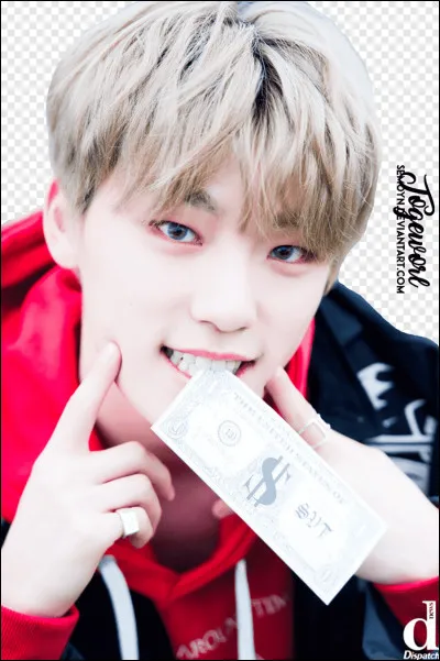 Qui est le "maknae" (le plus jeune) ?