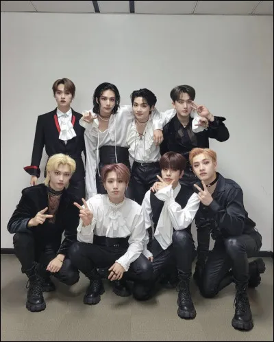 Comment se nomme leur fandom ?