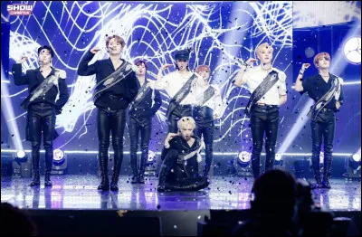 Comment se nomme le dernier album sorti de Stray Kids ?
(au moment de la création de ce quizz)