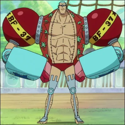 Comment s'appelle le fruit du démon de Franky ?