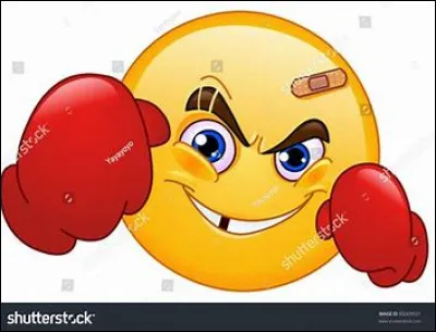 Si quelqu'un embête ton frère ou ta sœur, que fais-tu ?