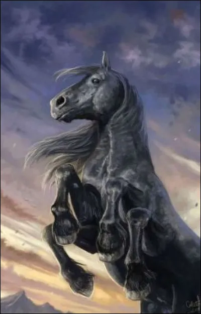 Complétez : 
"Skríða, skokka, skjóta..."