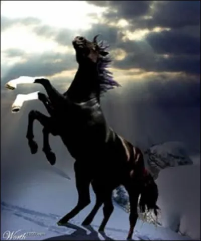 Complétez : 
"Breiða blóta, brokka..."