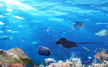 Quiz Animaux