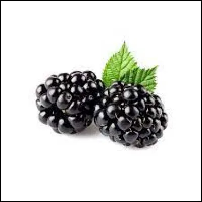 Comment dit-on "mûre" en anglais ?