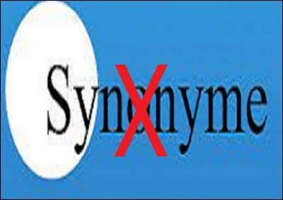 Quel mot n'est PAS synonyme de lunettes ?