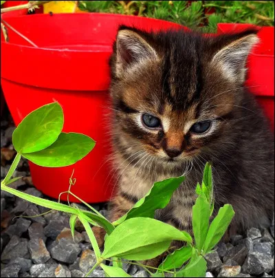 Et dormir, tu aimes ça ?