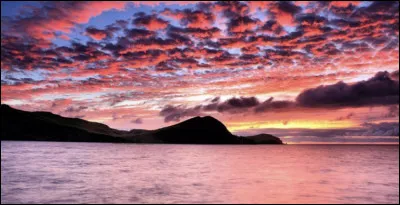 Comment est ta vie amoureuse ?