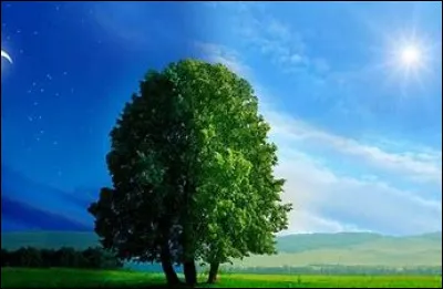 Préfères-tu le jour ou la nuit ?