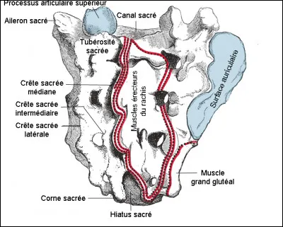 Le préfixe grec hier a pour sens...