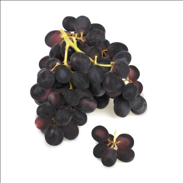 Quel est le nom de cette variété de raisin de table avec de gros grains noirs à la chair ferme et musquée ?