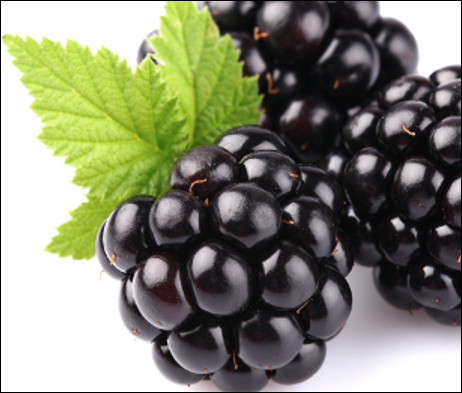 Quel est le nom de ce fruit noir de la ronce au goût sucré, utilisé pour la confection de sirops, de confitures, de gelées et de sorbets ?