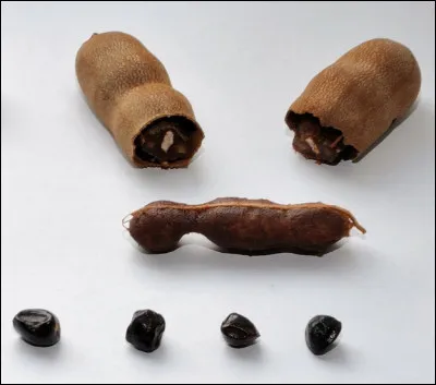 Quel est le nom de ce fruit noir très consommé en Afrique qui se trouve dans une gousse, il est riche en protéines, en glucides, en matières grasses et en vitamines, son goût est acidulé ?