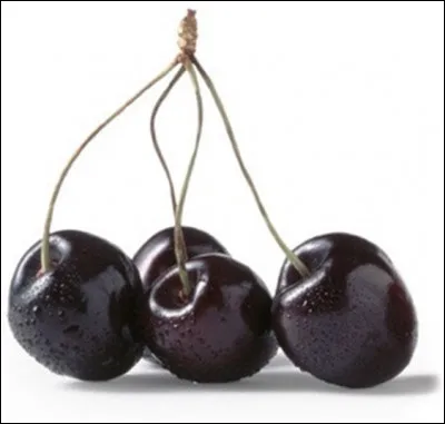 Quel est le nom de cette variété de cerises noires de grande qualité, fruit à chair fine, sucrée, juteuse et parfumée ?