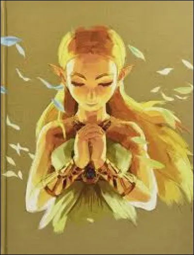 Quel est le nom de la princesse que Link doit sauver ?