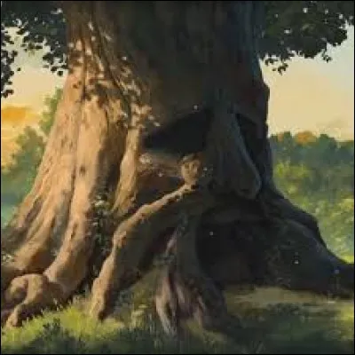 Comment s�appelle l�arbre Korogu dans les Bois perdus ?