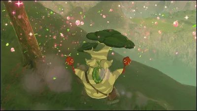 Combien y a-t-il de Korogus &agrave; trouver en tout ?