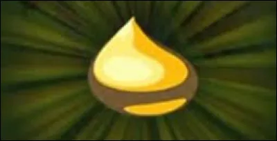 Quand on obtient toutes les noix Korogus, qu�obtient-on aupr&egrave;s de Noya ?