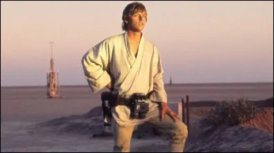 Quelle profession Luke souhaite-t-il exercer ?