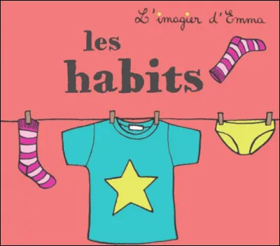 Ton style vestimentaire est :