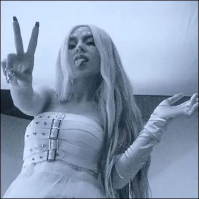 Comment appelle-t-on ses fans ?