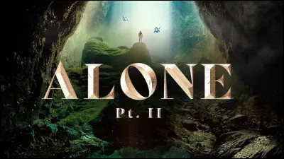 Avec qui Ava Max a-t-elle fait un feat sur la chanson "Alone Pt2"