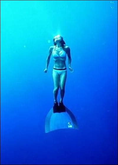 Comment s'appelle le lest utilisé en plongée en apnée ?