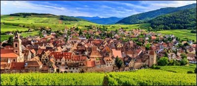 La "perle du vignoble alsacien", Riquewihr est une cité médiévale et viticole. Dans quel département est-elle située ?