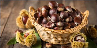 Qui cultive des châtaigniers pour commercialiser les châtaignes ?