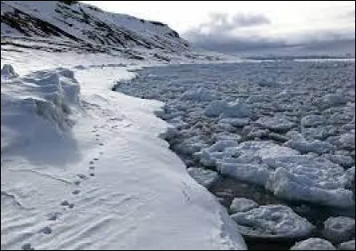 L'île Kotelny, située dans l'océan Arctique, au nord des côtes de la Sibérie orientale entre la mer des Laptev et la mer de Sibérie orientale, fait partie de l'archipel ...